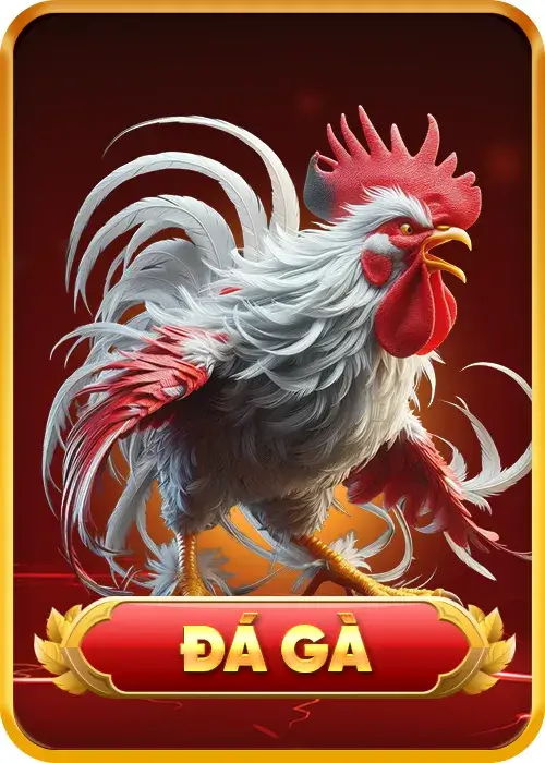 icon đá gà