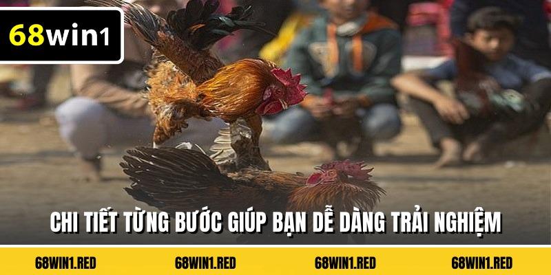 Chi tiết từng bước giúp bạn dễ dàng trải nghiệm