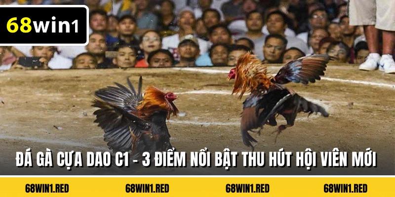 Đá Gà Cựa Dao C1 - 3 Điểm Nổi Bật Thu Hút Hội Viên Mới