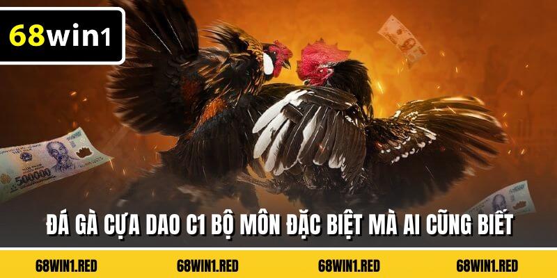 Đá gà cựa dao c1 bộ môn đặc biệt mà ai cũng biết